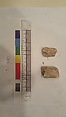 Stucco Fragment, Stucco; carved