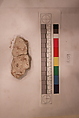 Stucco Fragment, Stucco; carved