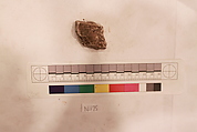 Stucco Fragment, Stucco; carved, painted