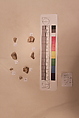 Stucco Fragment, Stucco; carved, painted (c, d, g)