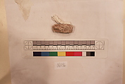 Stucco Fragment, Stucco; carved, painted
