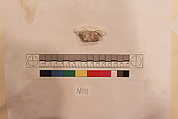 Stucco Fragment, Stucco; carved, painted