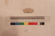 Stucco Fragment, Stucco; carved, painted