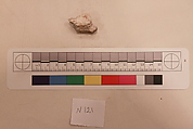 Stucco Fragment, Stucco; carved (?), painted