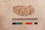 Stucco Fragment, Stucco; carved, painted