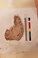 Stucco Fragment, Stucco; carved