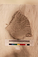 Stucco Fragment, Stucco; carved