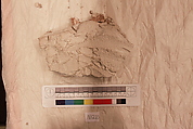 Stucco Fragment, Stucco; carved, painted