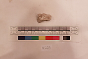 Stucco Fragment, Stucco; carved, painted