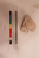 Stucco Fragment, Stucco; carved, painted
