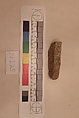 Stucco Fragment, Stucco; carved, painted