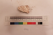 Stucco Fragment, Stucco; carved