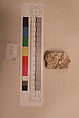 Stucco Fragment, Stucco; carved, painted