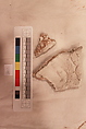 Stucco Fragment, Stucco; carved