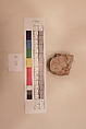 Stucco Fragment, Stucco; carved and painted