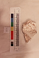 Stucco Fragment, Stucco (white mortar); carved, painted