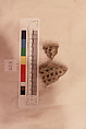 Stucco Fragment, Stucco (white mortar); carved