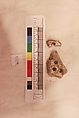 Stucco Fragment, Stucco (white mortar); carved