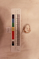 Stucco Fragment, Stucco (white mortar); carved