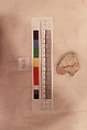 Stucco Fragment, Stucco (white mortar); carved