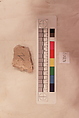 Stucco Fragment, Stucco (mortar); carved