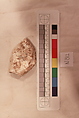 Stucco Fragment, Stucco (mortar); carved, painted