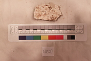 Stucco Fragment, Stucco (mortar); carved, painted