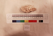 Stucco Fragment, Stucco (mortar); carved, painted