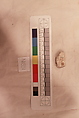 Stucco Fragment, Stucco (mortar); carved, painted