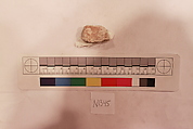Stucco Fragment, Stucco (mortar); carved, painted