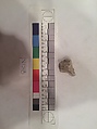 Stucco Fragment, Stucco (mortar); carved, painted
