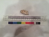 Stucco Fragment, Stucco (mortar); carved, painted
