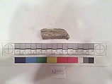 Stucco Fragment, Stucco (mortar); carved, painted