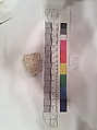 Stucco Fragment, Stucco (mortar); carved, painted
