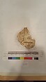 Stucco Fragment, Stucco (mortar); carved, painted