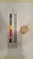 Stucco Fragment, Stucco (mortar); carved, painted