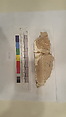 Stucco Fragment, Stucco (mortar); carved, painted