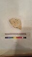 Stucco Fragment, Stucco (mortar); carved, painted