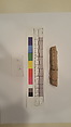 Stucco Fragment, Stucco; carved and painted