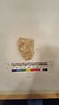 Stucco Fragment, Stucco (mortar); carved, painted