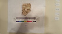 Stucco Fragment, Stucco (mortar); carved, painted