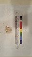 Stucco Fragment, Stucco (mortar); carved, painted