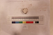 Stucco Fragment, Stucco (mortar); carved, painted