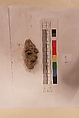 Stucco Fragment, Stucco (mortar); carved