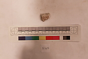 Stucco Fragment, Stucco (mortar); carved, painted