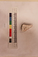 Stucco Fragment, Stucco (mortar); carved, painted