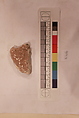 Stucco Fragment, Stucco (mortar); carved, painted
