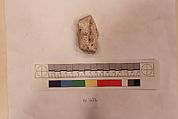 Stucco Fragment, Stucco (mortar); carved