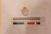 Stucco Fragment, Stucco (mortar); carved, painted