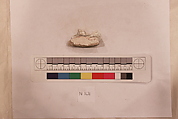 Stucco Fragment, Stucco; carved, painted